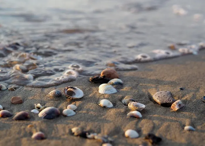 Apartment Comfortable Near The